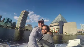 BAY LIFE - Baltimore Harbor - Chesapeake Bay