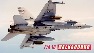 F/A-18 Walkaround with Ron Haack at Fighter World