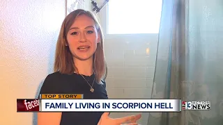 Family living in scorpion hell