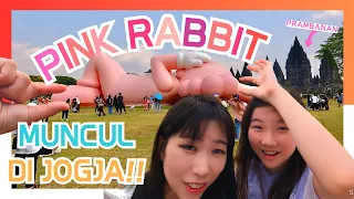 [WISATA🐇] OMG!! SEULGI🇰🇷 KAGET GIANT KELINCI PINK MUNCUL DI PRAMBANAN!!