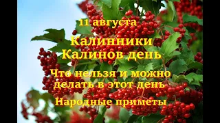 11 августа  Калинники. Калинов день. Что нельзя и можно делать в этот день. Народные приметы.