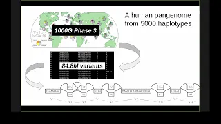 "Building and understanding pangenome variation graphs" -  Erik Garrison #IntroductionToPangenomics