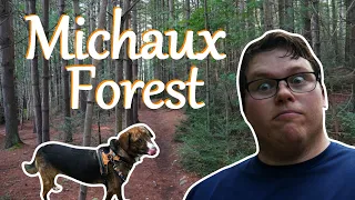 Beaver Trail || Hiking through Michaux State Forest