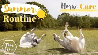 SUMMER Horse Care ROUTINE | AD | This Esme