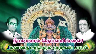 நீயல்லால் தெய்வமில்லை🙏 | சீர்காழி | உளுந்தூர்பேட்டை சண்முகம் | முருகன் பாடல்✨