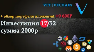 Инвестиция 17|52: VET/VECHAIN, обзор портфеля.