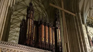 Coe Fen (How Shall I Sing that Majesty) - York Minster Organ