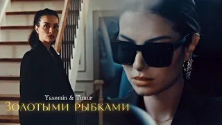 ►Yasemin & Timur [+Adem] | Новая жизнь | Золотыми рыбками