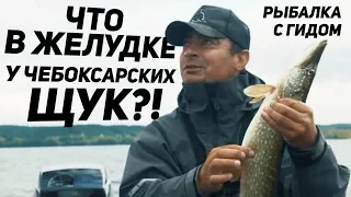 Рыбалка с гидом  на Чебоксарском водохранилище