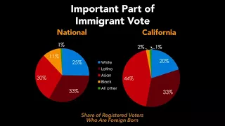 The Asian American and Pacific Islander Vote