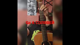 GO A Соловей