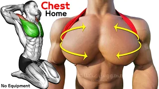 14 Easy Exercises Chest workout at home NO EQUIPMENT Needed