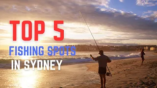 TOP 5 FISHING SPOTS IN SYDNEY