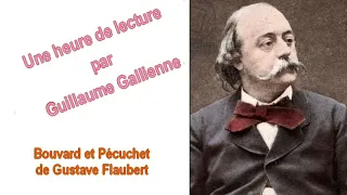 Bouvard et Pécuchet, une épopée de la bêtise ? une émission de Guillaume Gallienne