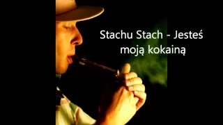 Stachu Stach - Jesteś moją kokainą + TEKST