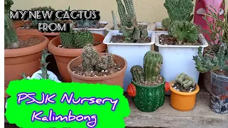 Unboxing cactus and succulents from @PSJKnursery kalimpong with price and details