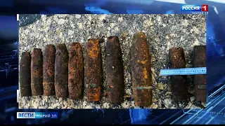 В лесу Медведевского района были найдены боеприпасы