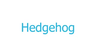 How to Pronounce hedgehog