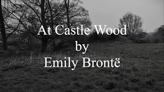At Castle Wood by Emily Brontë