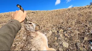 Harika Bir Tavşan Keklik  Avı 4K Süper Pozisyonlar Net Vuruşlar/Hare And Partridge Hunting