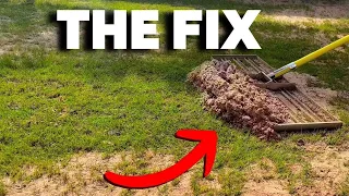 Fix YOUR Lawn Drainage and POA Problems NOW
