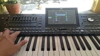 Korg PA5X - Haddaway - What is love (Cover) Style - What is Dance