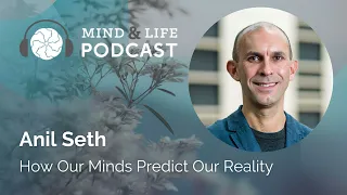 Mind & Life Podcast: Anil Seth – How Our Minds Predict Our Reality