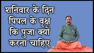 शनिवार के दिन पिपल के वृक्ष कि पुजा क्यों करना चाहिए#pandit_pradeep_ji_mishra