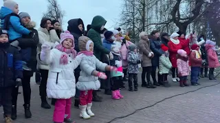 Новогодние елки зажгли в Гродно