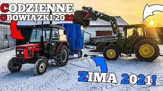 CODZIENNE OBOWIĄZKI PRZY BYDLE OPASOWYM 2021 ☆ ZIMA W PEŁNI