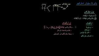 Cellular structure of bone |  Muscular skeletal system physiology |  NCLEX RN |  Khan Academy Urdu