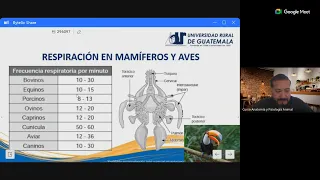 Semana 8 - Domingo