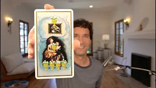 1-Card, 1-Minute Daily Tarot Reading • Tue., Aug. 23, 2022 • Focus on Relationship Harmony #shorts