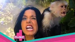 Katy Perry - Roar (Behind The Scenes)