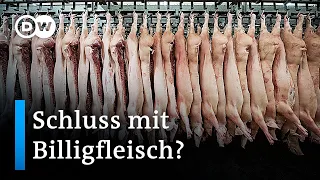 Fünf Dinge, die man über Billigfleisch wissen sollte | #5Dinge