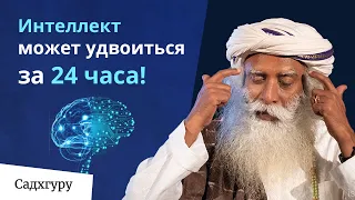 Умственные способности могут удвоиться за 24 часа!