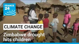 'Crying from hunger': Zimbabwe drought hits children • FRANCE 24 English