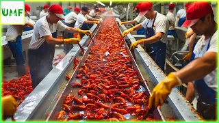 The Journey Of LOUISIANA Crawfish from Harvesting to Your Plate - Modern Fishing Techniques