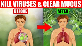 TOP 10 Herbs That Kill Viruses and Clear Mucus from Your Lungs