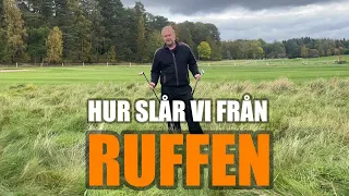 Ruffen - Hur ska vi hantera ruffen och tjockruffen?