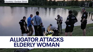 Alligator attacks 77-year-old Florida woman at retirement community