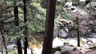 Heart Rock Trail- Crestline, CA