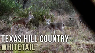 Hunting Whitetail in the Texas Hill Country