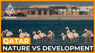 Qatar: Nature and development at a crossroads | Talk to Al Jazeera