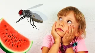 Alena y Pasha huyen de los insectos Recopilación de historias divertidas para niños