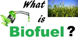 What is Biofuel?