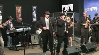 Alabama Blues Brothers - Soul Man - Spotlight 5