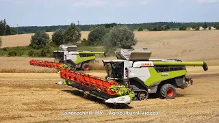 Claas Lexion 8900 im Getreide / The Whole Story