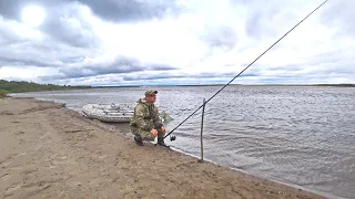 РЫБАЛКА НА ДОНКУ НА БОЛЬШОЙ РЕКЕ. ЛОВЛЯ РЫБЫ НА ПРОСТУЮ ПРИМАНКУ.