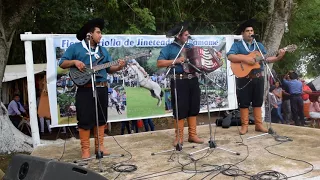 Los Criollitos del Chamame-ROMERITO FILMACIONES